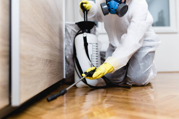 Best Rat Extermination Near Me  in Hybla Lley, VA