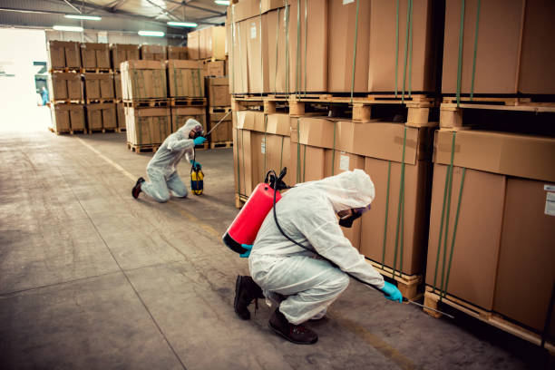 Best Local Pest Control Services  in Hybla Lley, VA