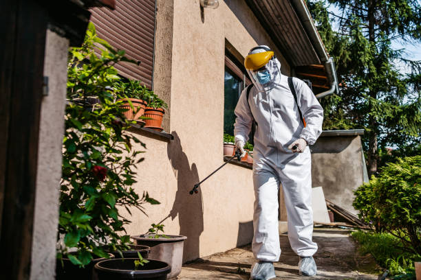 Best Affordable Pest Control Services  in Hybla Lley, VA