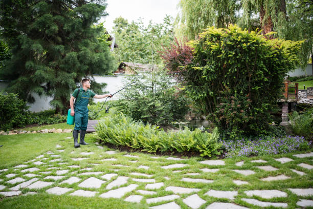 Best Mosquito Control Services  in Hybla Lley, VA