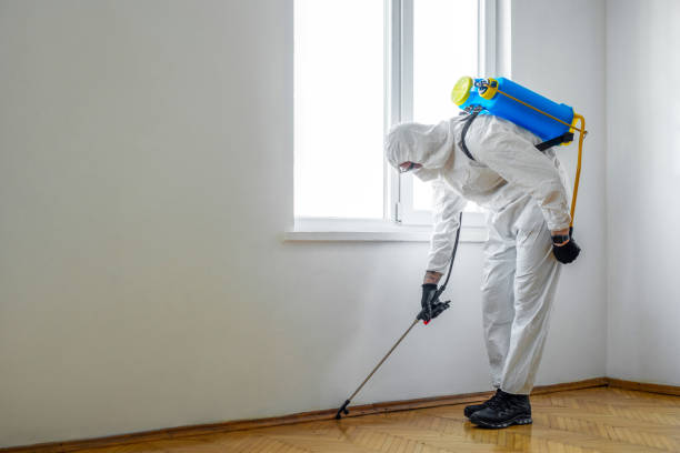 Best Spider Control Near Me  in Hybla Lley, VA