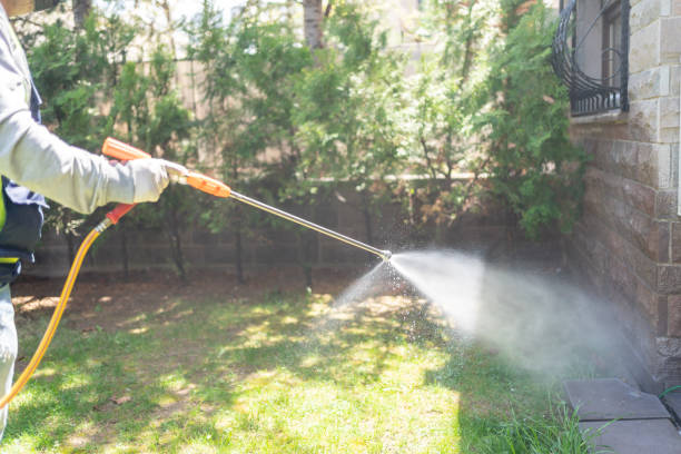 Wasp Removal Services in Hybla Valley, VA