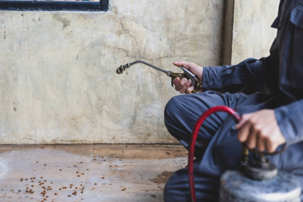 Best Termite Control Services  in Hybla Lley, VA