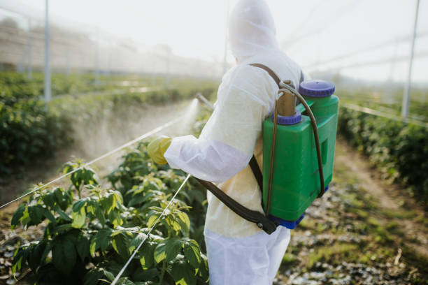 Trusted Hybla Valley, VA Pest Control Experts